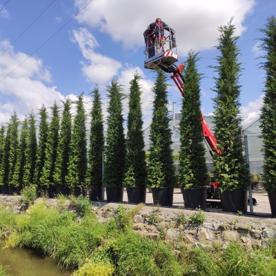 TELESCOPIC BOOM ALMAC JIBBI 1250 EVO 102