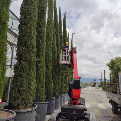 TELESCOPIC BOOM ALMAC JIBBI 1250 EVO 103