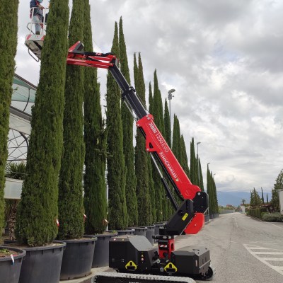 TELESCOPIC BOOM ALMAC JIBBI 1250 EVO 104