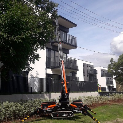 MINI CRANE BGLIFT M250 19