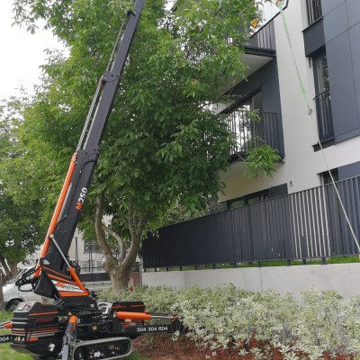 MINI CRANE BGLIFT M250 291