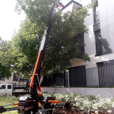 MINI CRANE BGLIFT M250 31