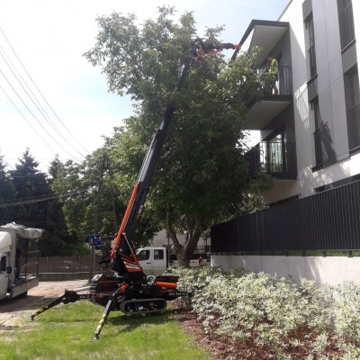 MINI CRANE BGLIFT M250 34