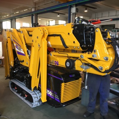 MINI CRANE BGLIFT M250 575