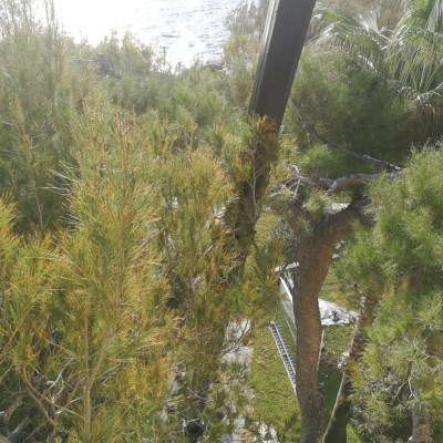 MINI CRANE BGLIFT M400 199