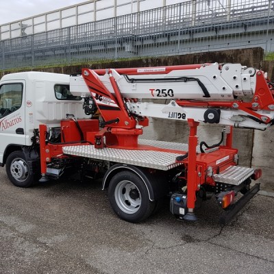 MINI TRUCK CRANE BGLIFT T250 16