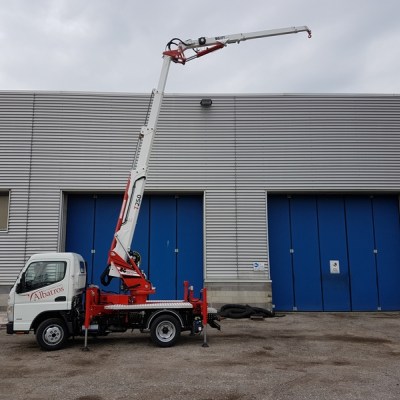 MINI TRUCK CRANE BGLIFT T250 22