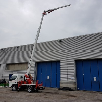 MINI TRUCK CRANE BGLIFT T250 25