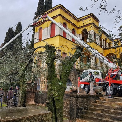 MINI TRUCK CRANE BGLIFT T250 37