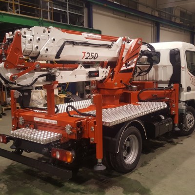 MINI TRUCK CRANE BGLIFT T250 6