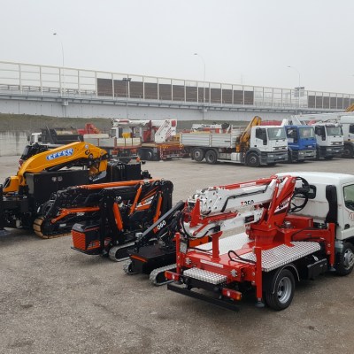 MINI TRUCK CRANE BGLIFT T250 7