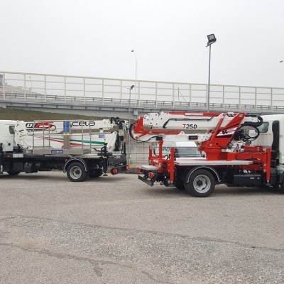 MINI TRUCK CRANE BGLIFT T250 8