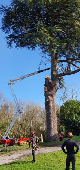 SPIDER LIFT PALAZZANI TZ330 15