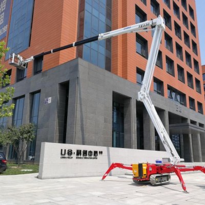 SPIDER LIFT PALAZZANI TZ330 6