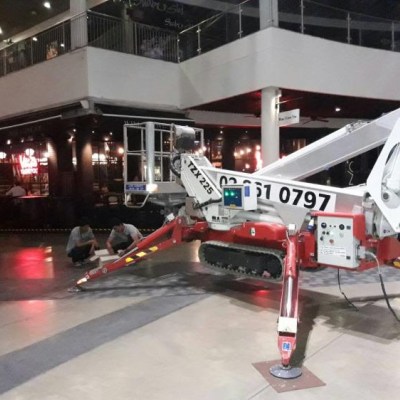 SPIDER LIFT PALAZZANI TZX225 1